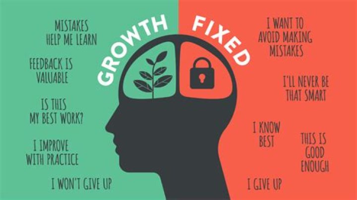 Exploring Experience, Growth, And Impact