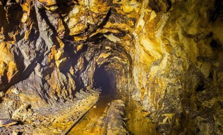 Unveiling "The Trust Bryce": Discoveries And Insights