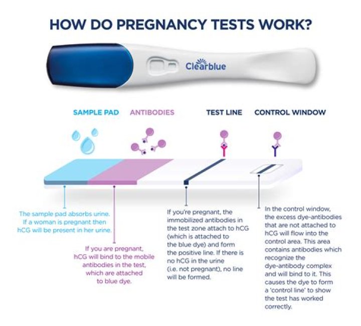 Where To Find Pregnancy Tests When You Need Them Most